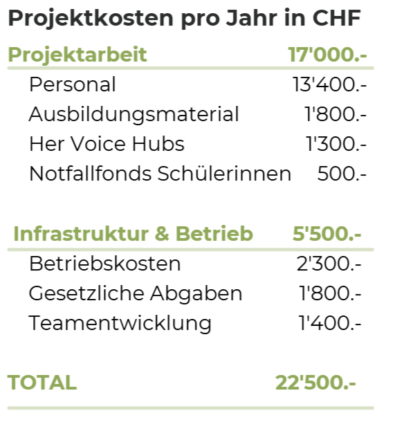 Projektkosten 2026